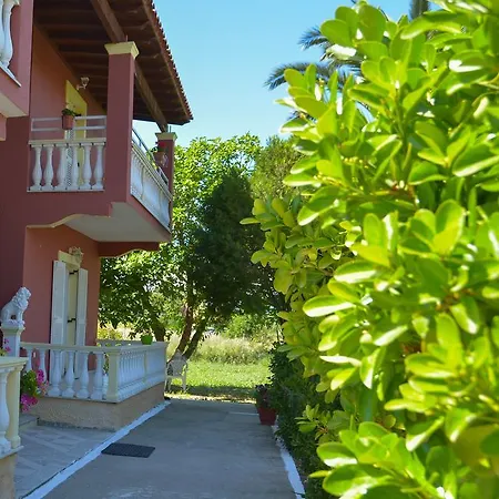 Giannis And Fridas Garden * 斯达林