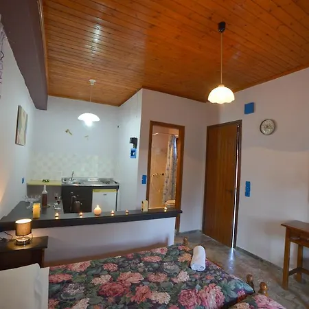 Giannis And Fridas Garden 斯达林