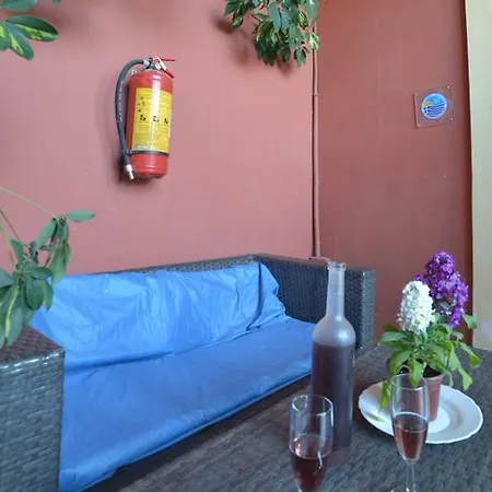 公寓 Giannis And Fridas Garden